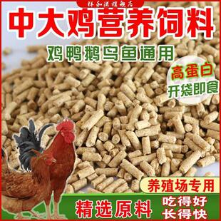 产蛋鸡饲料鸡鸭鹅鸟钓鱼打窝包邮雏鸡开口料小鸡饲料中大鸡饲料