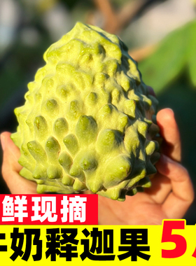 释迦果新鲜番荔枝5斤大目凤梨牛奶佛头果林檎摩尼果当季水果整箱3