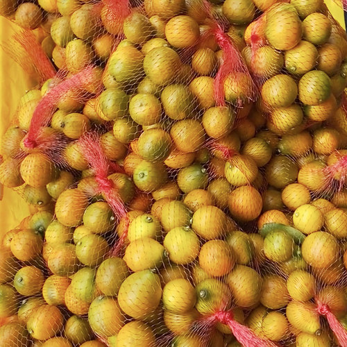 广西金桔5斤橘子当季时令水果新鲜脆皮小金桔鲜果纯甜桔子整箱