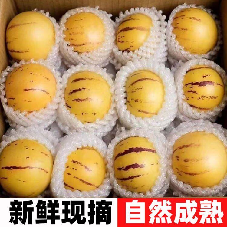 云南人参果水果5斤大果黄肉新鲜石林人叁果树上熟人生果圆果整箱,水产肉类/新鲜蔬果/熟食,人参果,淘宝优惠券,粉丝福利购,淘宝优惠卷