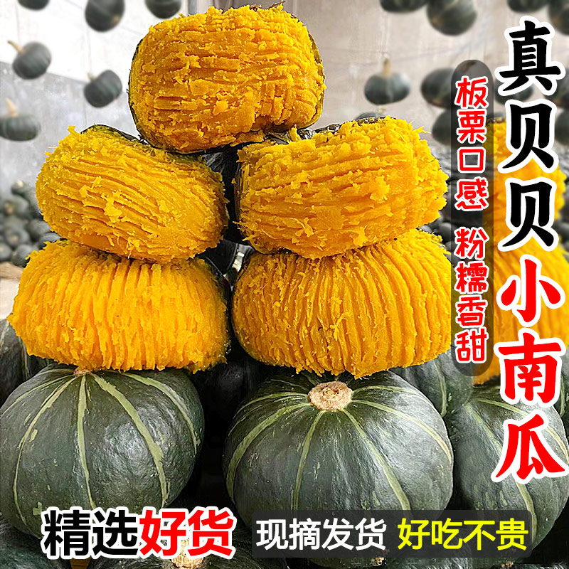 贝贝南瓜5斤宝宝辅食板栗味小南瓜新鲜蔬菜小宝宝辅食农家老南瓜