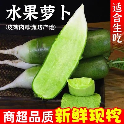 潍坊正宗水果萝卜现挖青萝卜产地直发新鲜脆甜沙窝萝卜当季蔬菜10