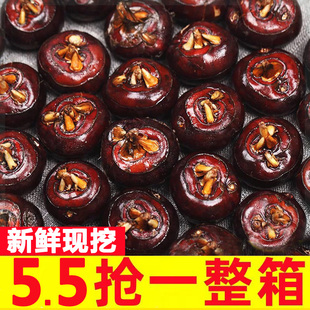 新鲜马蹄荸荠农家现挖5斤地栗地梨应季水果蔬菜珍珠马蹄大果整箱