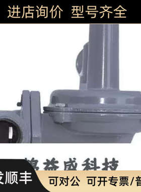 议价BELGAS减压阀P140议价