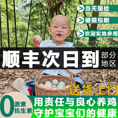 九云仙正宗九华山农家散养新鲜土鸡蛋孕妇宝宝健康草鸡蛋笨鸡蛋-封面