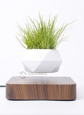 VIp Magnetic suspension flower pot Levitating Air Bonsai Pot