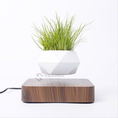 VIp Magnetic suspension flower pot Levitating Air Bonsai Pot