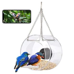 Window Bird Feeder Smart Bird Feeder With Suction Cups 720P