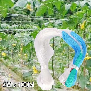 Plant Support Net 2M X 100M Fruit Support Trellis Cover Mesh