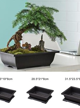 Flower Pots Bonsai-Basin Rectangle-Vase Garden-Planters Succ