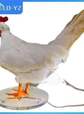 Hens Lay Eggs Chick Night Light Ornaments Simulated Animal