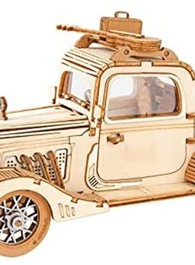 Rowood 3D Wooden Puzzles for Adults Teens Boys Girls DIY Ca