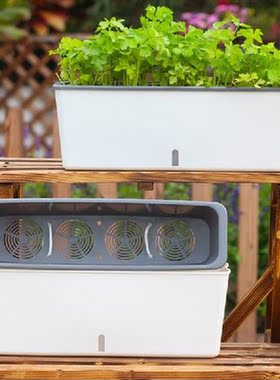 Automatic Watering Planter Watering Plant Flower Pot Long