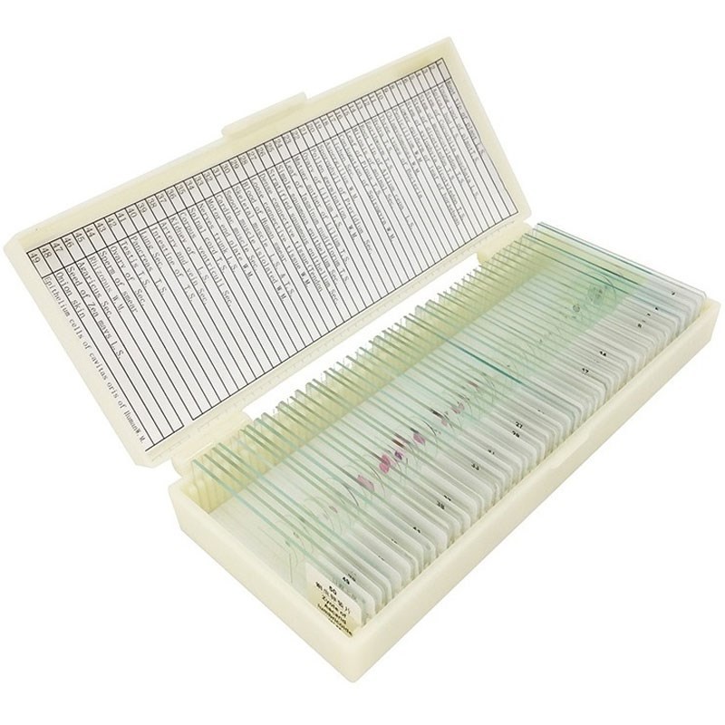 50 PCS Prepared Basic Science Microscope Slides Learning Res