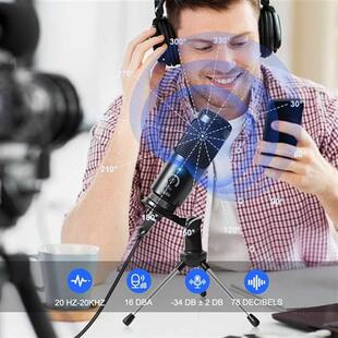 USB Microphone Condenser D80 Recording Microphone with Stand