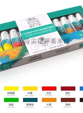 Winsor Newton Fine Acrylic Color Paint Set Artist Profession