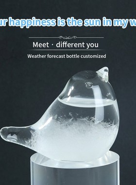 Storm Glass Weather Forecaster Weather Station Liquid Barome