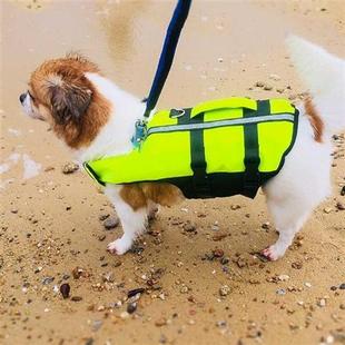 2021 New Pet Dog Life Vest Summer Big Dogs Clothes Outdoor