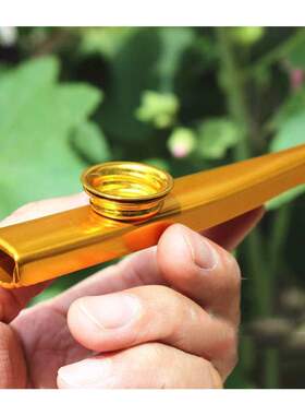 Metal Kazoos Musical Instruments Flutes Diaphra Mouth Kazoos