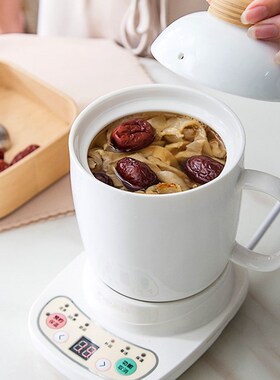 220V 120w 0.6L Bone cerac slow cooker Health pot Electric st