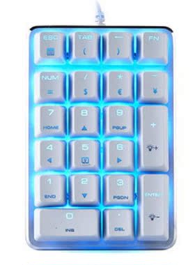 USB Wired Mechanical Numeric Keypad 21-Key Illuminated Keybo