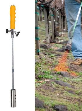 Picnic Outdoor Garden Environmentally Professional