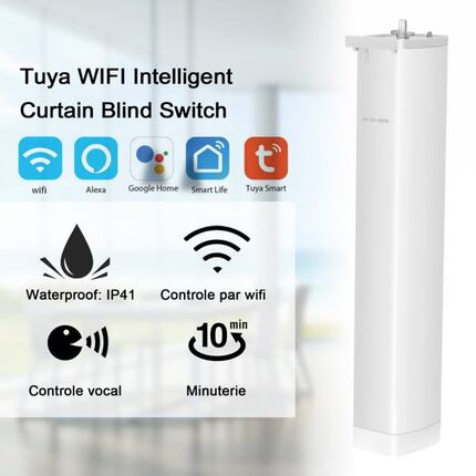 Smart Curtain Motor Intelligent Tuya Zigbee Wifi Smart Home