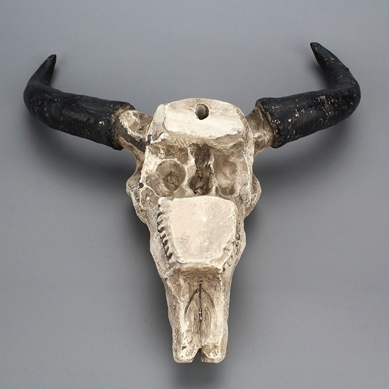 Resin Longhorn Cow Skull Head Wall Hanging Decor 3D Animal W
