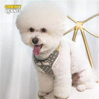 CAWAYI KENNEL Bowknot Dog Harness   Leash Set Adjustable
