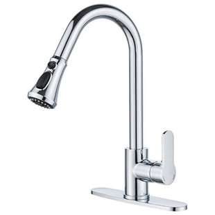 Kitchen Sink Faucet with Pull Down Sprayer Commercial Modern