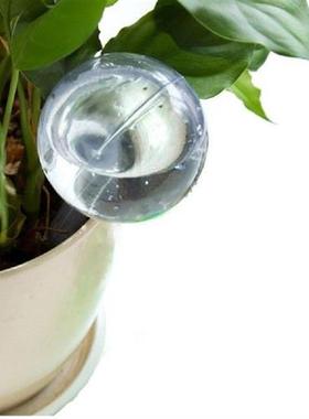 Flower Automatic Watering Device Houseplant Plant Pot Bulb