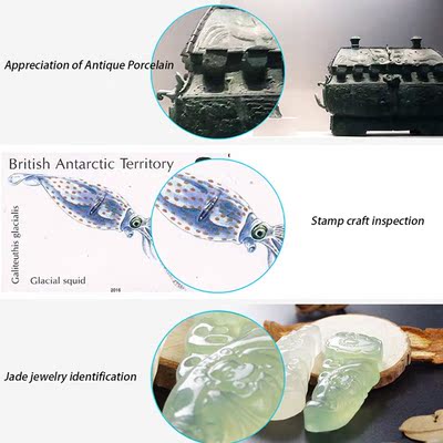 50x-1000x Tablet Magnifier Wifi USB 8 Adjustable LED Handhel