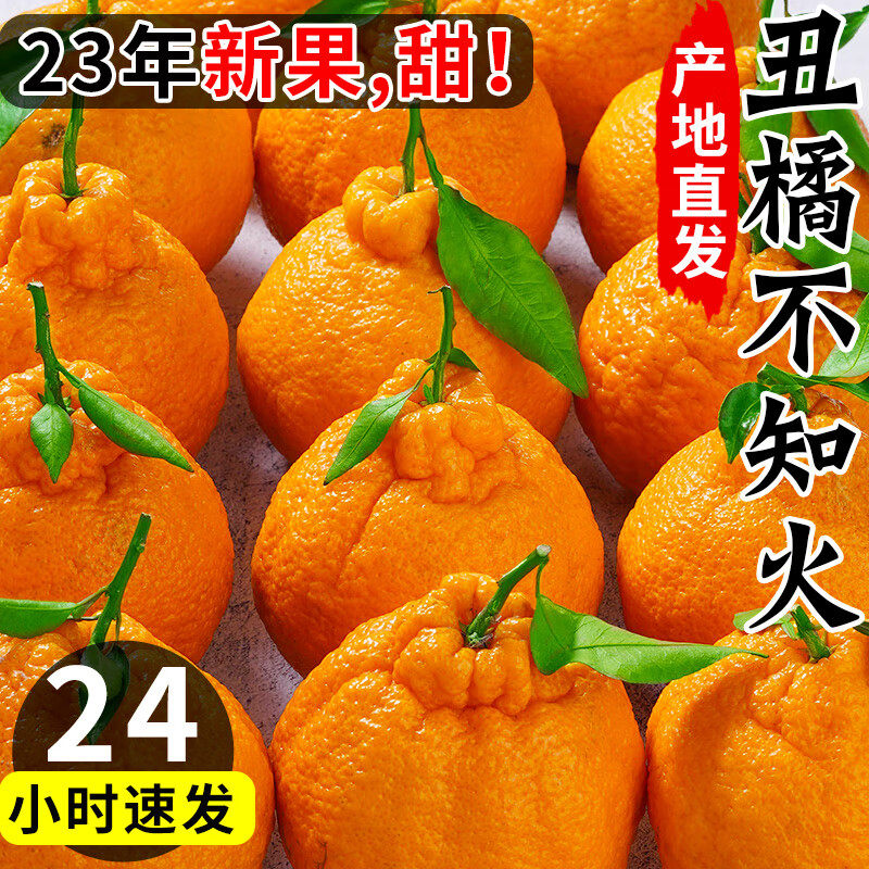 【24小时内速发】四川正宗不知火丑橘18斤丑八怪粑粑5A品质整箱