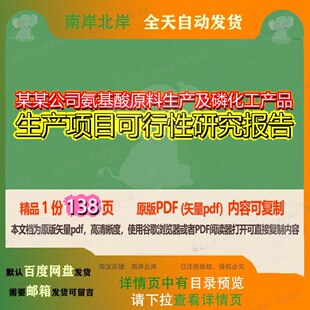 某某公司氨基酸原料生产及磷化工产品生产项目可行性研究报告138