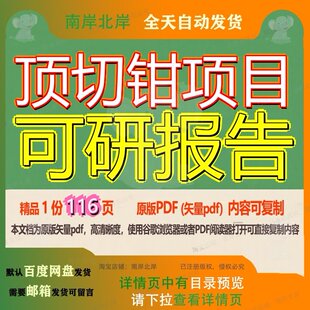 顶切钳项目可研报告116页 项目报告可研资料文档优质顶切可复