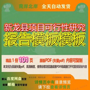 新龙县项目可行性研究报告模板模板101页 项目报告研究可行性研