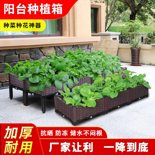 阳台种植种植箱塑料花盆