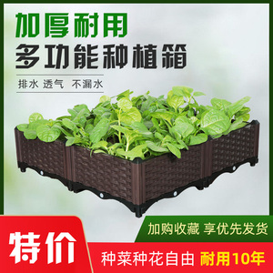 种植箱家庭阳台种菜专用箱神器种菜盆树脂塑料花盆特大号花箱户外