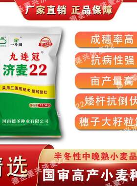 原装高产济麦22小麦种子抗冻抗病矮杆抗寒冬抗倒伏原种包衣25斤装
