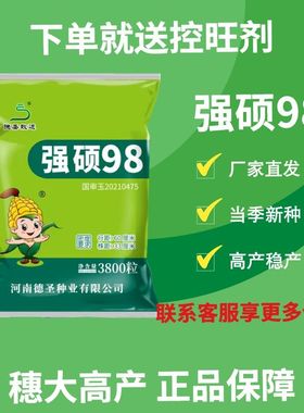 稳产德圣致远抗旱黄金棒强硕98玉米种子高产大棒送控旺剂正品原装