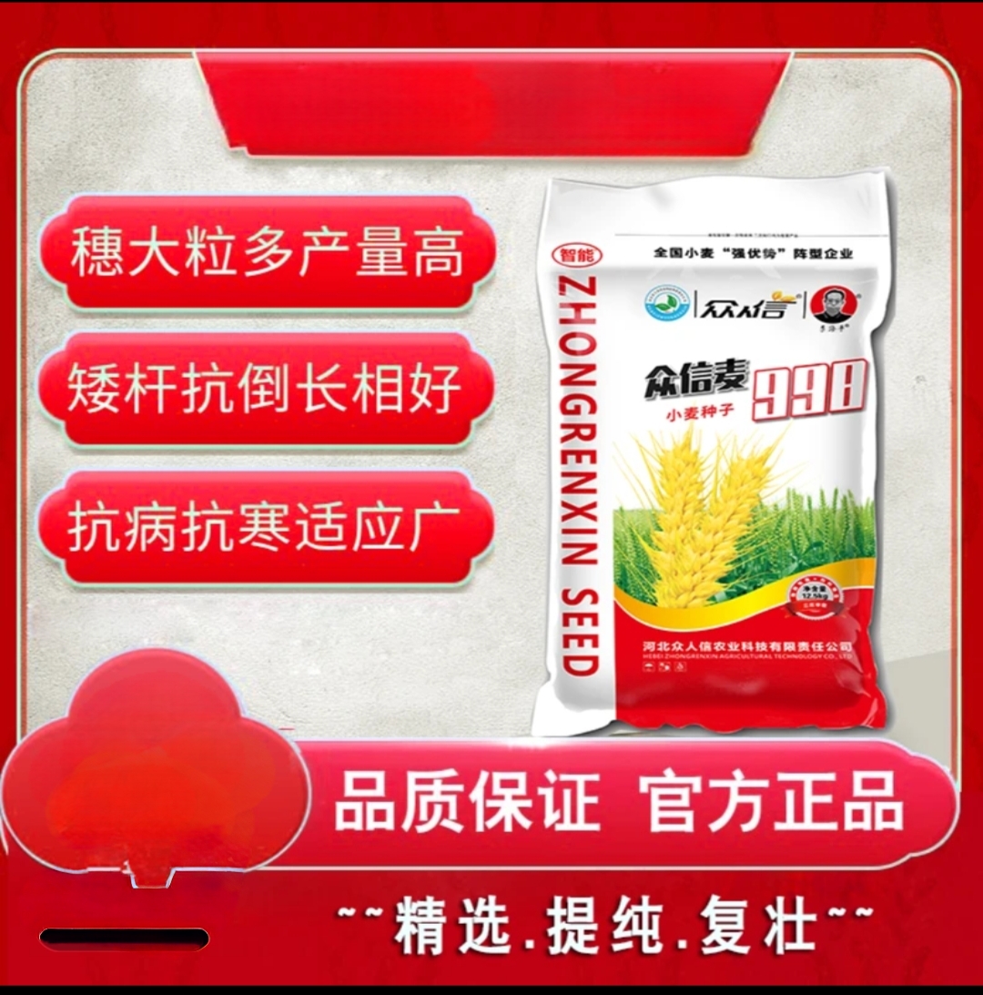 国审众信麦998小麦高产专家抗病抗倒适应广正品新货可留种的