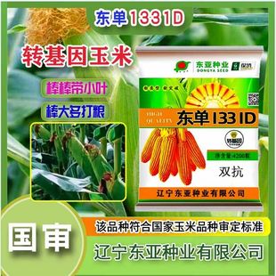 东单1331D玉米种子正品 保证现发 保证现货先发东单1331D双抗正品