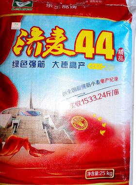 国审济麦44抗冻冬小麦种子 国审强筋抗倒小麦原种 优质雨前麦种籽