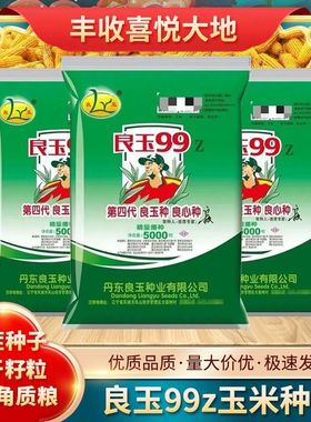 丹东良玉99Z玉米种5000粒良玉99玉米种正宗四代通用红轴耐密元素