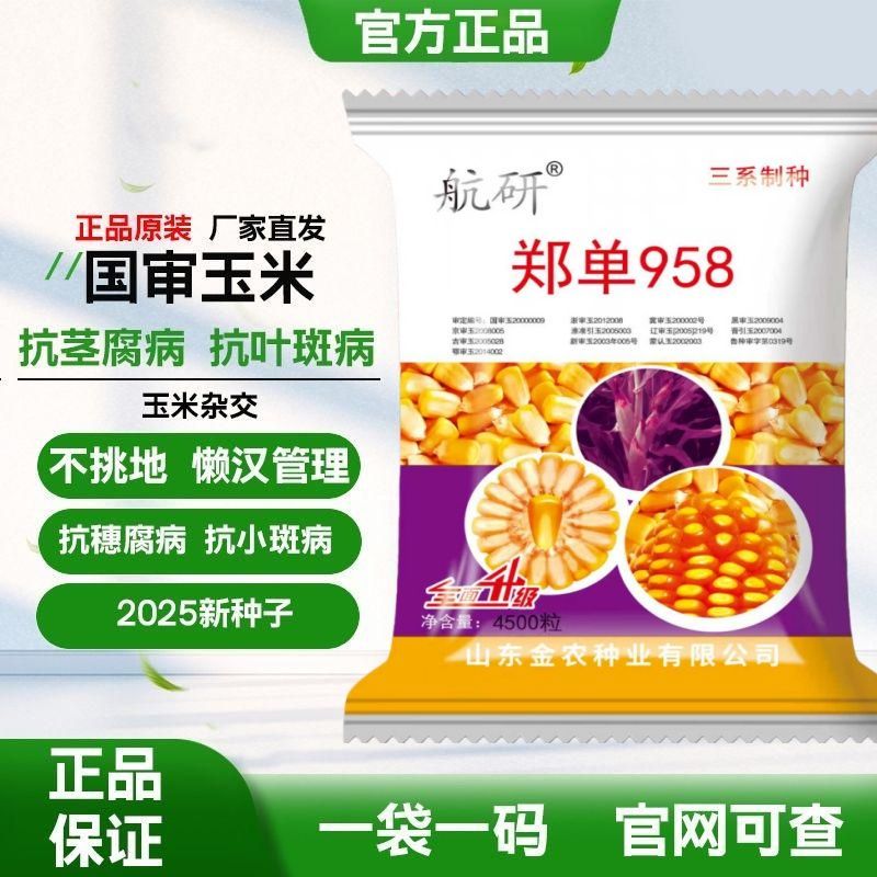 高产玉米种子双胞胎基因南北通种矮杆大棒抗旱抗倒原装国审包谷种