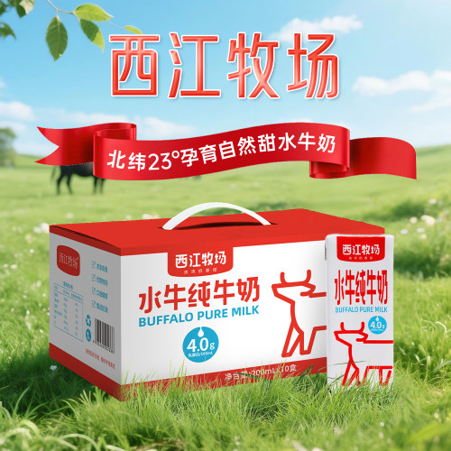 西江乳业水牛纯牛奶4.0g蛋白质