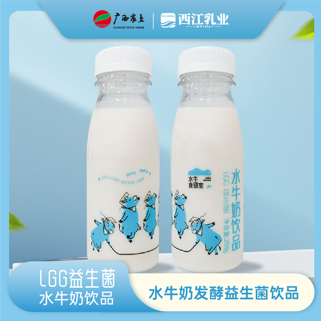 西江益生菌水牛奶饮品