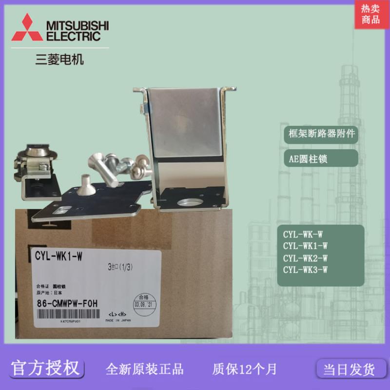 AE断路器圆柱锁AE-CYL-WK-W/WK1-W 计数器CNT-W，三锁二钥匙