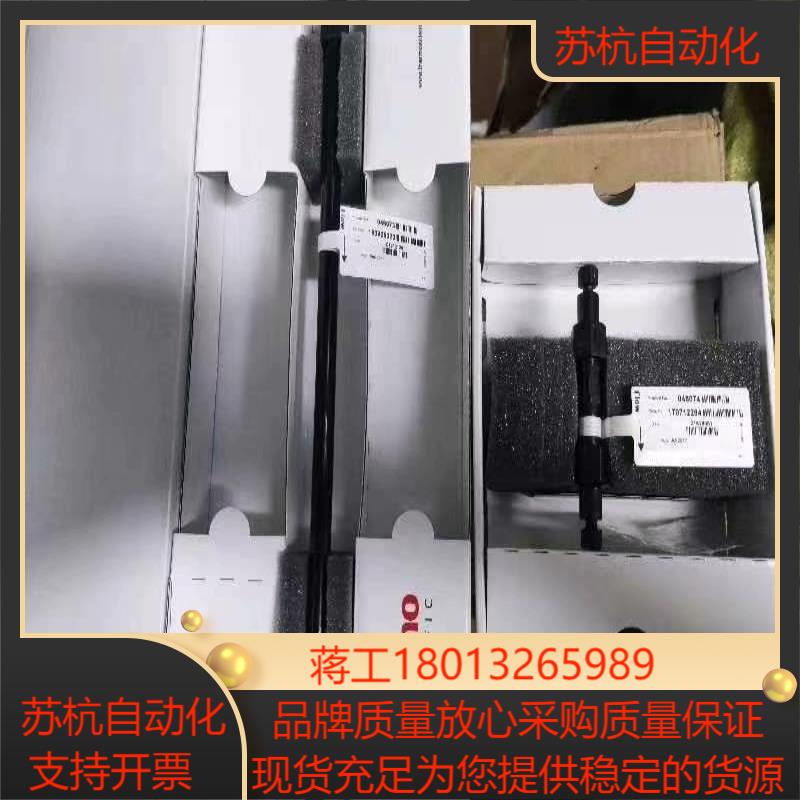赛默飞阳离子色谱柱，CS12ACG12A一套，货号0460