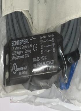 BNS 33-12Z-2187 10,0M BPS33 BN